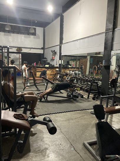 The Ultimate Fitness Gym